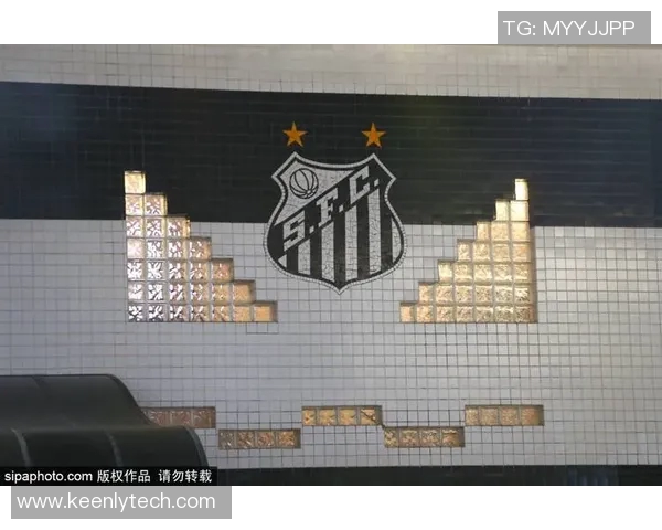 科特卡对阵查路精彩对决分析及比赛前瞻展望