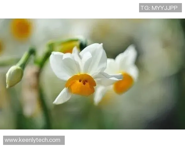 潘大福的传奇人生：从平凡到辉煌的奋斗故事与人生哲学