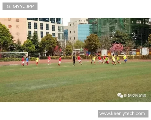 天门开发区足球比赛精彩直播全程回顾与赛况分析