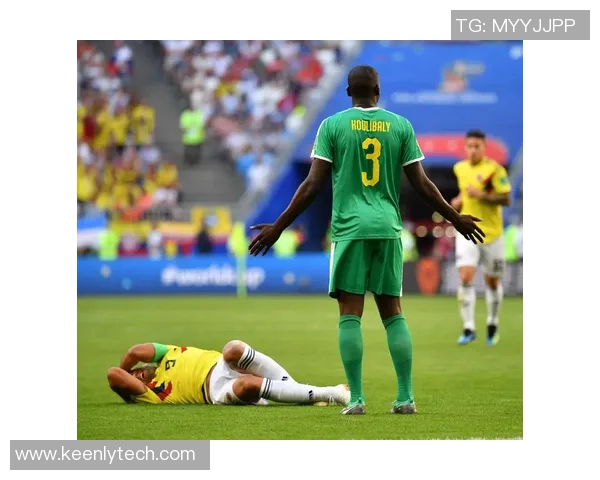 日本队与塞内加尔队的精彩对决足彩分析与预测